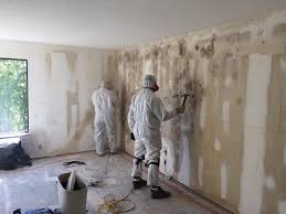 Why you should choose our mold remedi tion services in #city